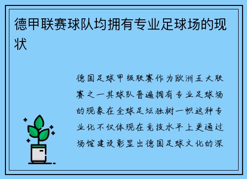 德甲联赛球队均拥有专业足球场的现状